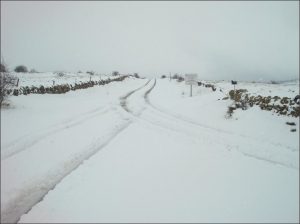 nevada en Mosqueruerla
